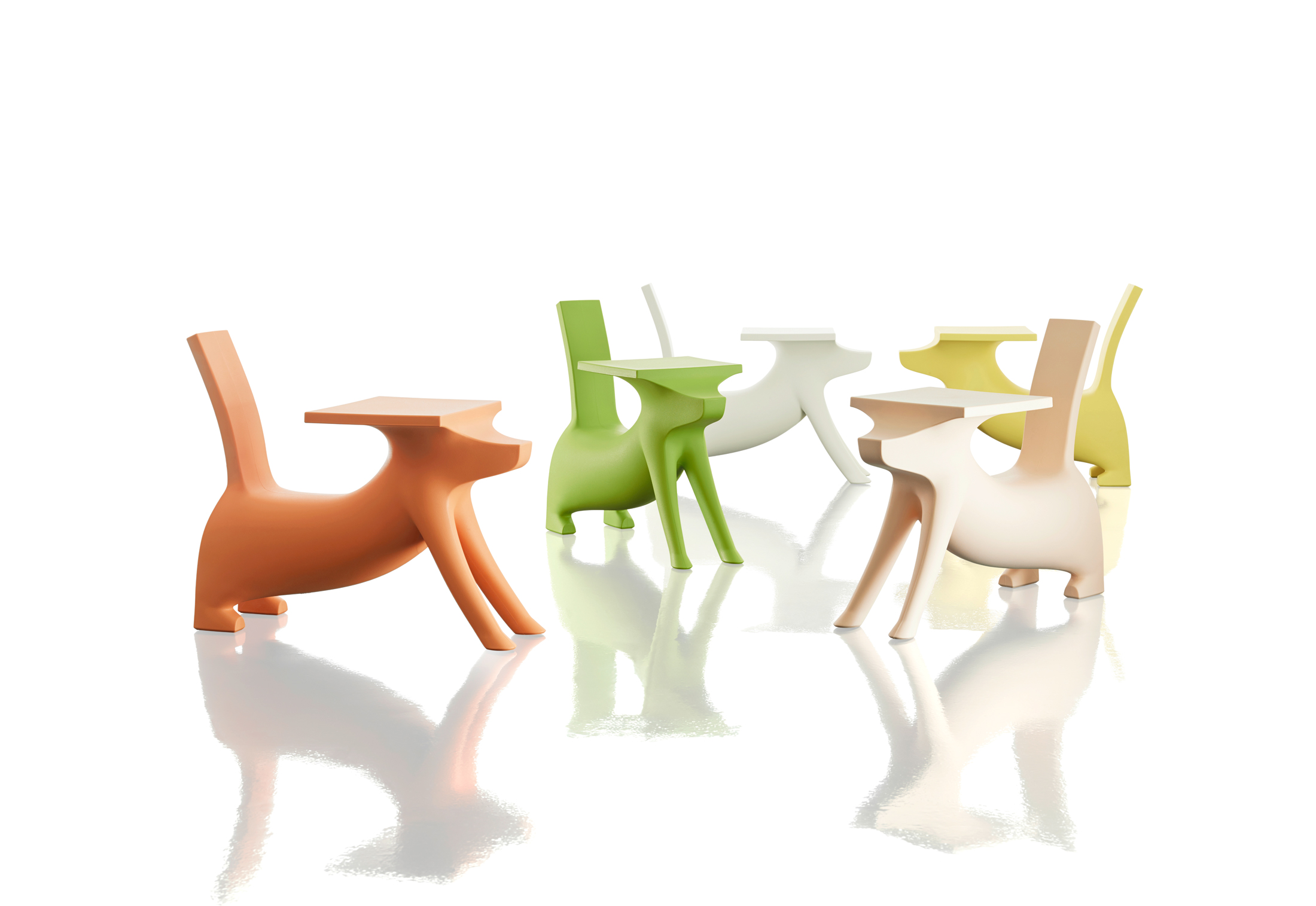 Le Chien Savant (Magis me too)